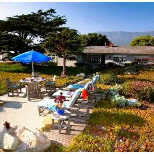 Driftwood Beach Retreat ocean front patio